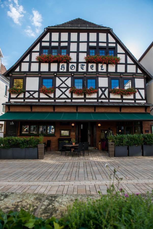 Hotel Zum Braunen Hirschen Bad Driburg Exteriér fotografie