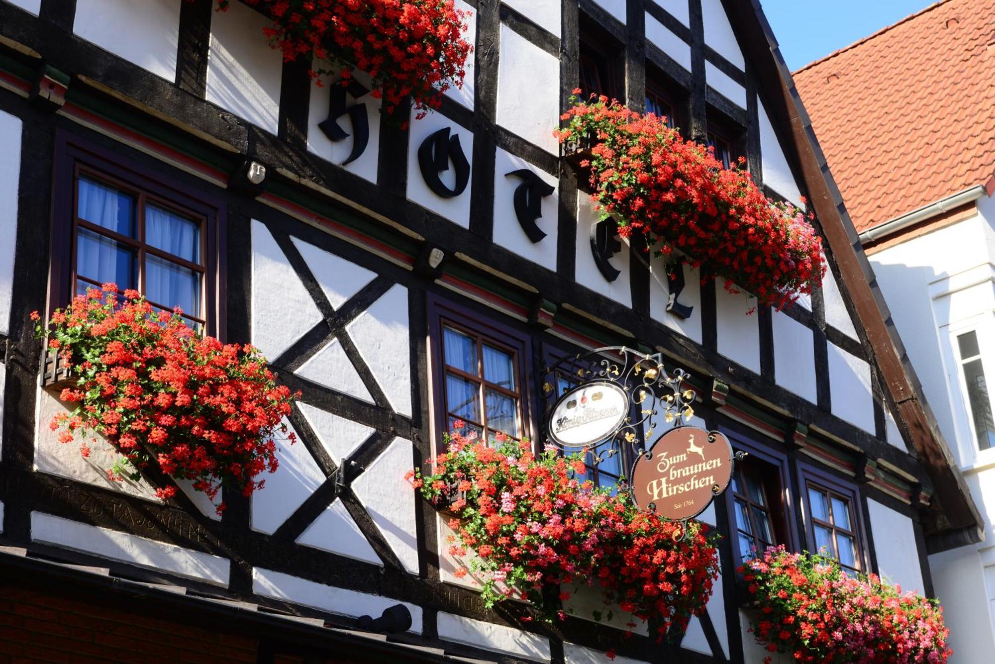 Hotel Zum Braunen Hirschen Bad Driburg Exteriér fotografie